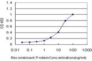 Detection limit for recombinant GST tagged USH1C is approximately 0. (USH1C antibody  (AA 424-533))
