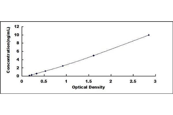 PLP1 ELISA Kit