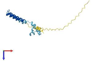 Chromosome 13 Open Reading Frame 30 (C13orf30) (AA 1-139) protein (His tag)