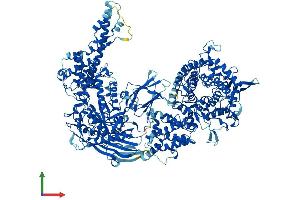 Protein Structure (PS) image for Amylo-alpha-1, 6-Glucosidase, 4-alpha-Glucanotransferase (AGL) (AA 1-1532) protein (His tag) (ABIN7553987)