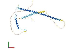 AlphaFold protein structure predicition of Mouse Recombinant Epsti1 Protein, UniprotID Q8VDI1