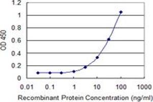 Detection limit for recombinant GST tagged ADAM29 is 0. (ADAM29 antibody  (AA 339-398))