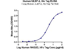 Immobilized Human ULBP-2, His Tag at 2 μg/mL (100 μL/Well) on the plate. (KLRK1 Protein (AA 78-216) (Fc-DYKDDDDK Tag))