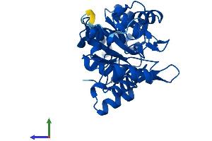 Protein Structure (PS) image for Pyridoxal (Pyridoxine, Vitamin B6) Phosphatase (PDXP) (AA 1-292) protein (His tag) (ABIN7556561)