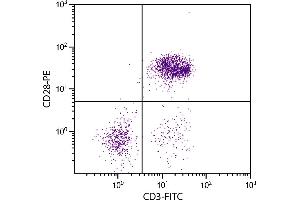 Chicken peripheral blood lymphocytes were stained with Mouse Anti-Chicken CD28-PE. (CD28 antibody  (Biotin))