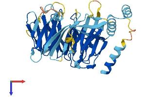 AlphaFold protein structure predicition of Human Recombinant DCAF4L1 Protein, UniprotID Q3SXM0