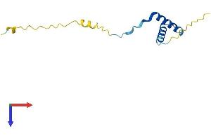 Endogenous Retrovirus Group K, Member 6 (ERVK-6) (AA 1-105) protein (His tag)