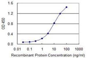 Detection limit for recombinant GST tagged EXOSC3 is 0. (EXOSC3 antibody  (AA 176-274))