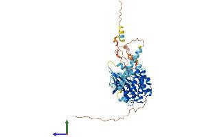 AlphaFold protein structure predicition of Human Recombinant MKNK2 Protein, UniprotID Q9HBH9