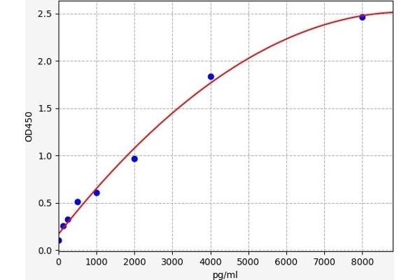 Oxytocin Receptor ELISA Kit