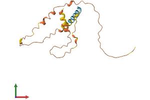 AlphaFold protein structure predicition of Human Recombinant FAM182B Protein, UniprotID Q5T319 (FAM182B Protein (AA 1-152) (His tag))