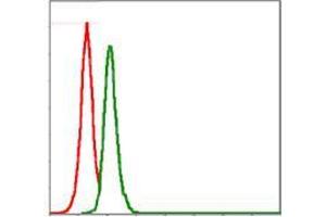 Flow Cytometry (FACS) image for anti-Proto-oncogene tyrosine-protein kinase Src (Src) antibody (ABIN969418)