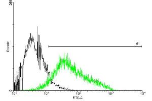 FACS analysis of negative control 293 cells (Black) and P2RX4 expressing 293 cells (Green) using P2RX4 purified MaxPab mouse polyclonal antibody. (P2RX4 antibody  (AA 1-388))