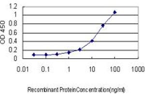 Detection limit for recombinant GST tagged UNC5B is approximately 1ng/ml as a capture antibody. (UNC5B antibody  (AA 27-126))