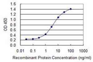 Detection limit for recombinant GST tagged ZNF287 is 0. (ZNF287 antibody  (AA 231-330))