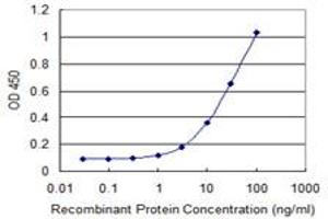 Detection limit for recombinant GST tagged ITCH is 1 ng/ml as a capture antibody. (ITCH antibody  (AA 92-190))