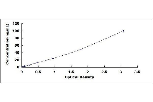 C1QTNF1 ELISA Kit