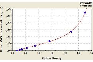 Typical Standard Curve (MAG ELISA Kit)