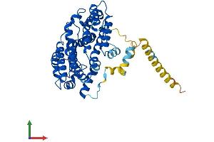 AlphaFold protein structure predicition of Human Recombinant FDFT1 Protein, UniprotID P37268 (FDFT1 Protein (AA 1-417) (His tag))