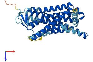 Olfactory Receptor, Family 6, Subfamily C, Member 70 (OR6C70) (AA 1-312) protein (His tag)