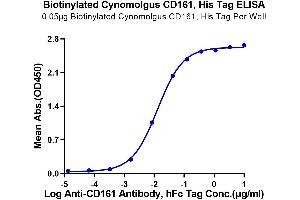 ELISA image for Killer Cell Lectin-Like Receptor Subfamily B, Member 1 (KLRB1) (AA 67-227) protein (His-Avi Tag,Biotin) (ABIN7274062)