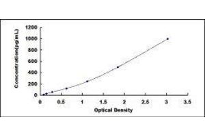 ELISA image for Surfactant Protein A1 (SFTPA1) ELISA Kit (ABIN3164731) (Surfactant Protein A1 ELISA Kit)