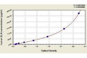 Typical standard curve (Elastin ELISA Kit)