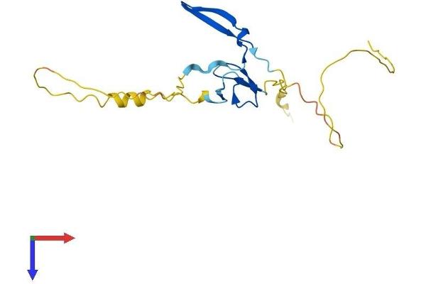 YAF2 Protein (AA 1-180) (His tag)