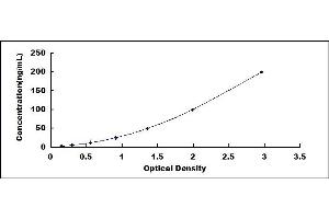 Anti-Myelin Oligodendrocyte Glycoprotein Antibody ELISA Kit