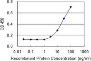 Detection limit for recombinant GST tagged ABCA10 is 1 ng/ml as a capture antibody. (ABCA10 antibody  (AA 1-80))