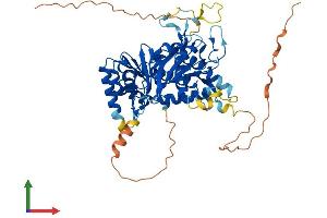 AlphaFold protein structure predicition of Mouse Recombinant Cdadc1 Protein, UniprotID Q8BMD5