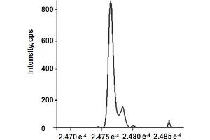 Migration assay with 3T3 mouse cells (HMGB1 Protein)