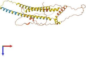 AlphaFold protein structure predicition of Human Recombinant NPIPA5 Protein, UniprotID E9PKD4 (NPIPA5 Protein (AA 1-350) (His tag))