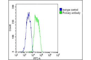 Overlay histogram showing HepG2 cells stained with C(green line).