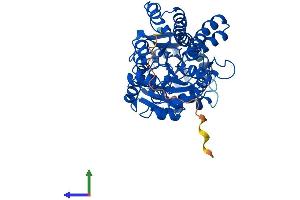 AlphaFold protein structure predicition of Human Recombinant UGDH Protein, UniprotID O60701 (UGDH Protein (AA 1-494) (His tag))