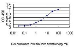 Detection limit for recombinant GST tagged SH3BGRL is approximately 0. (SH3BGRL antibody  (AA 1-114))