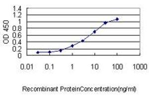 Detection limit for recombinant GST tagged SH3BGRL is approximately 0.