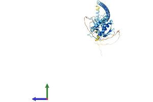 AlphaFold protein structure predicition of Human Recombinant BECN2 Protein, UniprotID A8MW95 (Becn2 (AA 1-431) protein (His tag))