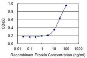 Detection limit for recombinant GST tagged HSD3B2 is 0. (HSD3B2 antibody  (AA 33-122))