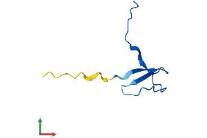 AlphaFold protein structure predicition of Human Recombinant POLR2K Protein, UniprotID P53803