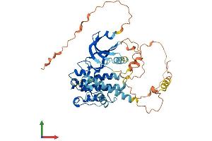 Protein Structure (PS) image for MAP Kinase Interacting serine/threonine Kinase 1 (MKNK1) (AA 1-465) protein (His tag) (ABIN7549486)