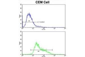 Flow Cytometry (FACS) image for anti-Immunoglobulin Heavy Constant alpha 1 (IGHA1) antibody (ABIN3003223) (IGHA1 antibody)