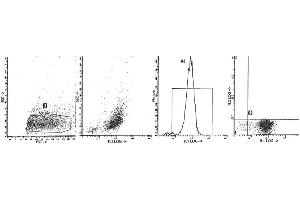 Staining with clone B-ly7 (CD103) monoclonal antibodies is illustrated by flow cytometry analysis using a spleen cell suspension from a HCL patient. (CD103 antibody  (PE))