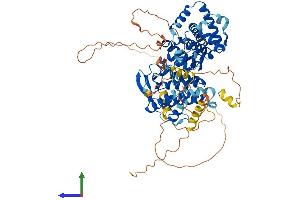 AlphaFold protein structure predicition of Human Recombinant TCF25 Protein, UniprotID Q9BQ70