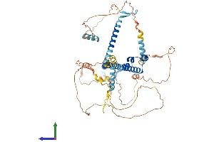 Protein Structure (PS) image for Nuclear Factor (erythroid-Derived 2)-Like 2 (NFE2L2) (AA 1-605) protein (His tag) (ABIN7549830)