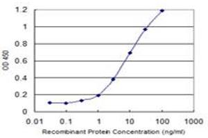 Detection limit for recombinant GST tagged RHBDL2 is 0. (RHBDL2 antibody  (AA 1-72))