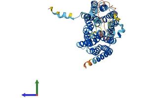 AlphaFold protein structure predicition of Human Recombinant SLC37A2 Protein, UniprotID Q8TED4 (SLC37A2 Protein (AA 1-501) (His tag))