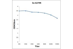 Antigen: 0. (ENPP2 antibody  (AA 131-230))