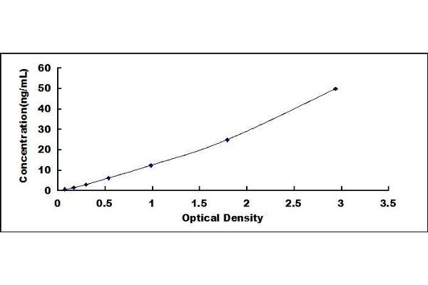 HMBS ELISA Kit