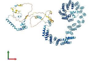 AlphaFold protein structure predicition of Mouse Recombinant Prpf6 Protein, UniprotID Q91YR7 (PRP6/ANT-1 Protein (AA 1-941) (His tag))